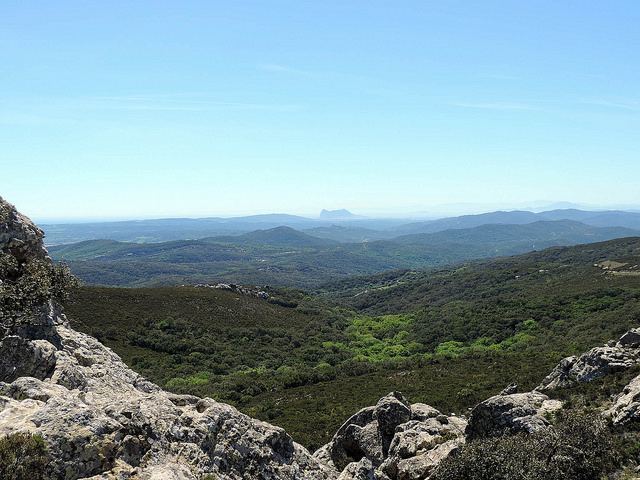 Parque natural Los Alcornocales